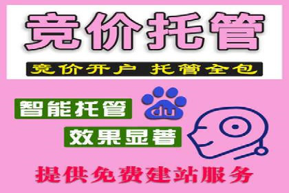 竞价广告的投放平台选择与优化：基于多个行业的成功案例
